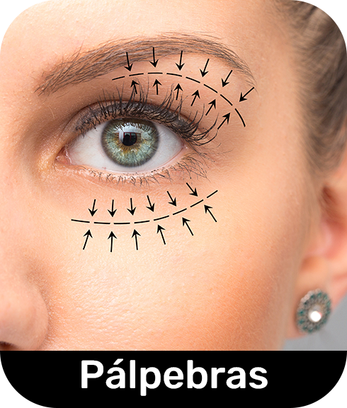 pálpebras
